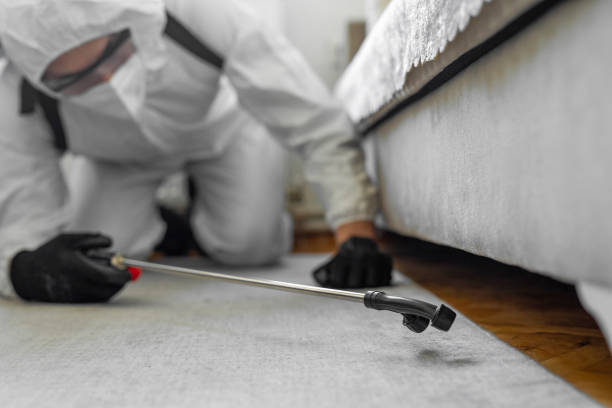 Professional Bed Bug Control technician working in Mountain House, CA