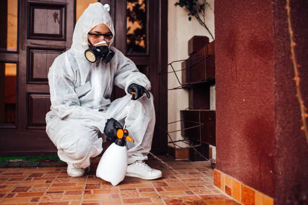Reliable Bed Bug Control contractor in Mountain House, CA by Nex Pest Control